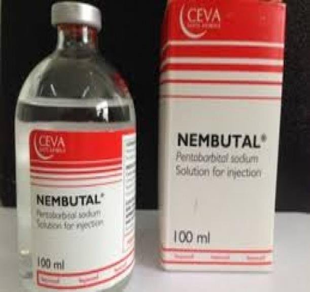 Nembutal-1